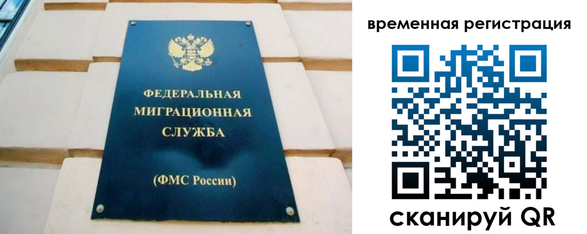 прописка гарантия в Арсеньеве